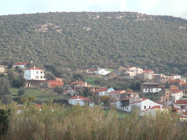 Far view of house